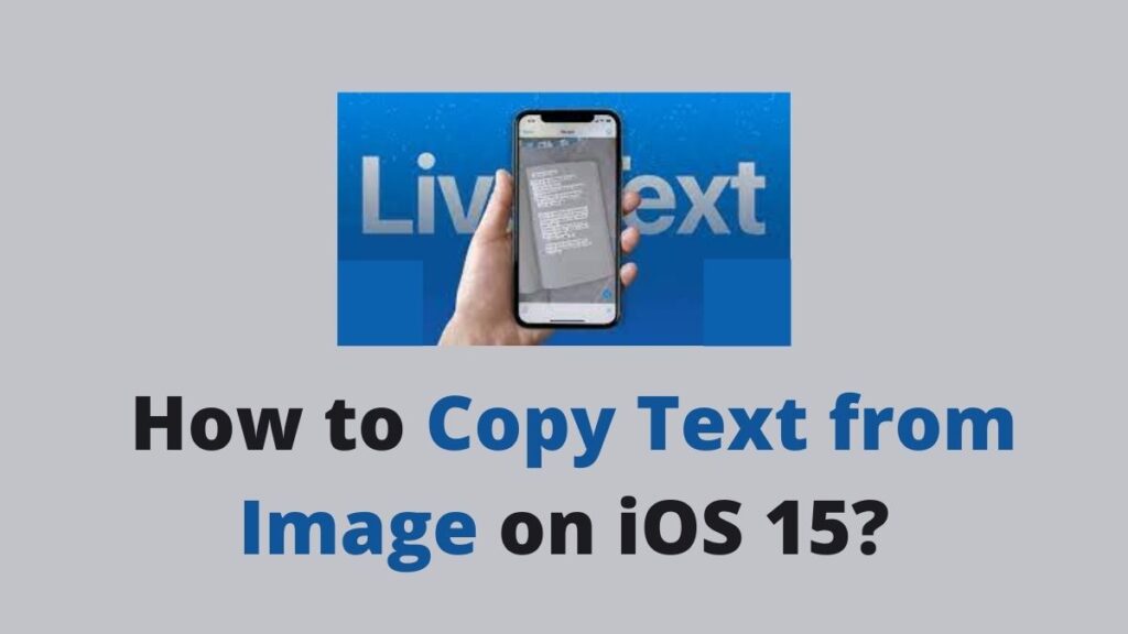 How to Copy text from Image on iOS 15?