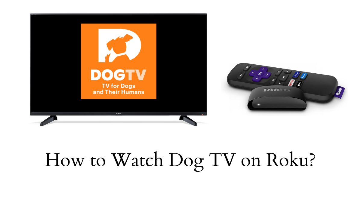 Dog TV on Roku